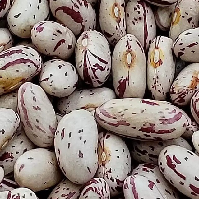 photo_2022-05-15_20-43-57