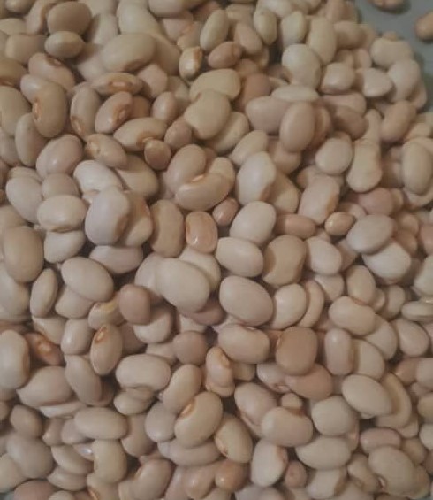 photo_2024-02-10_12-00-30 (2)